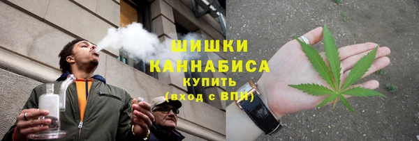 крисы Бородино