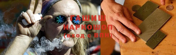 крисы Бородино
