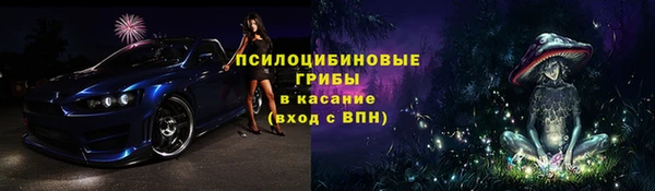 крисы Бородино