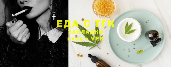 крисы Бородино