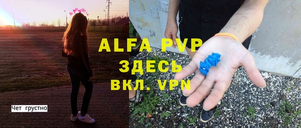 спиды Богданович