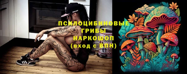 мдпв Бугульма