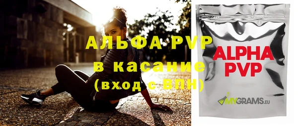 спиды Богданович
