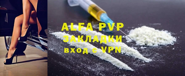 спиды Богданович